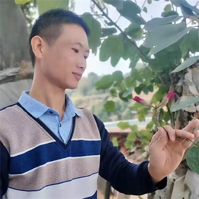 以艾为炬，以爱为光：廖麒皓与五圣纯阳灸的文化传承之路