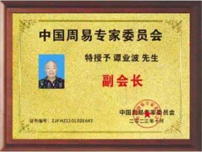 笃行易学之道 传承文化之光——记中华传统文化优秀传承人谭业波