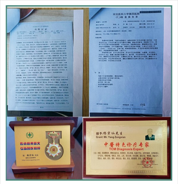 大国医者 国医名师  优秀中医传承人——杨宗仙