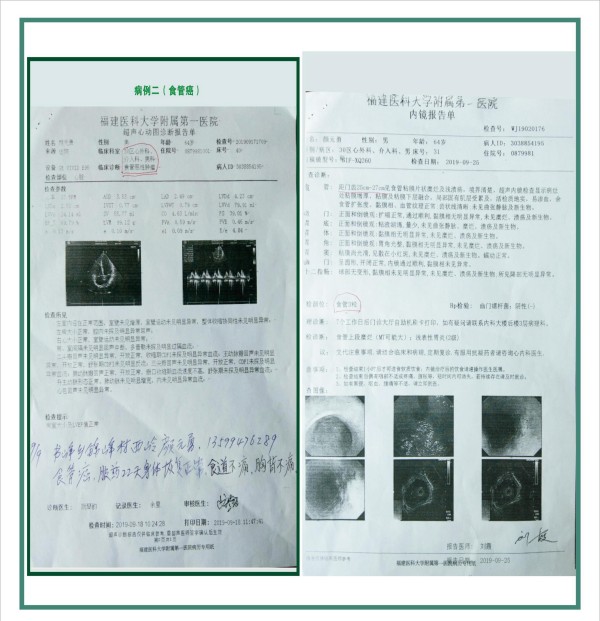 大国医者 国医名师  优秀中医传承人——杨宗仙