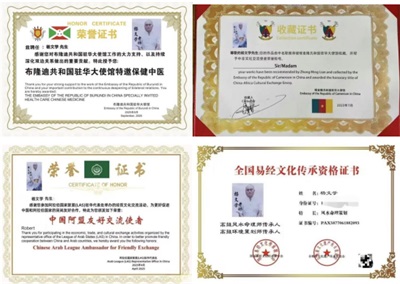 喜迎两会特别报道 全球华人易学专家智库专家、著名易学泰斗、国际顶尖世界级人物---杨文学