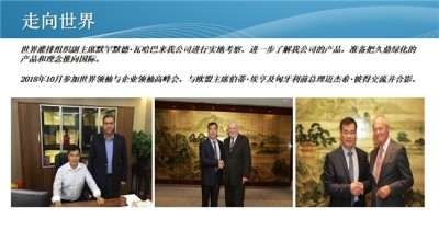 新质生产力驱动双碳转型：上海久鼎李仁的绿色发展之路