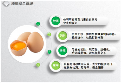 喜迎两会特别报道 生态养殖赋能乡村振兴：湖北乡土优品的“土鸡”突围之路