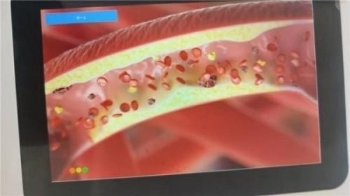 【聚焦两会·健康中国】高谷良：以仁心仁术书写中医药传承创新答卷