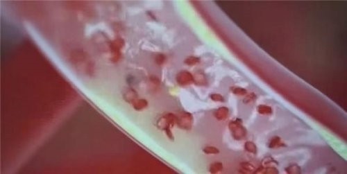 【聚焦两会·健康中国】高谷良：以仁心仁术书写中医药传承创新答卷