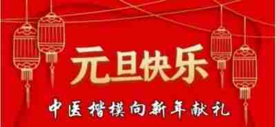 中国医学2025元旦特别报道 当代著名中医专家---王先芝