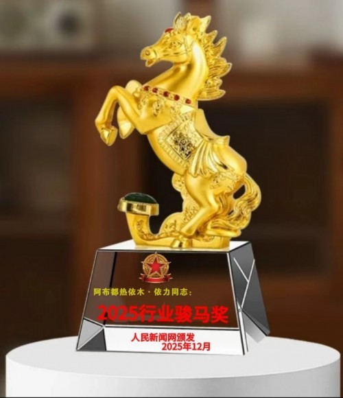 2026年【聚焦两会特别报道】世界名人：阿布都热依木.依力和达围然集团